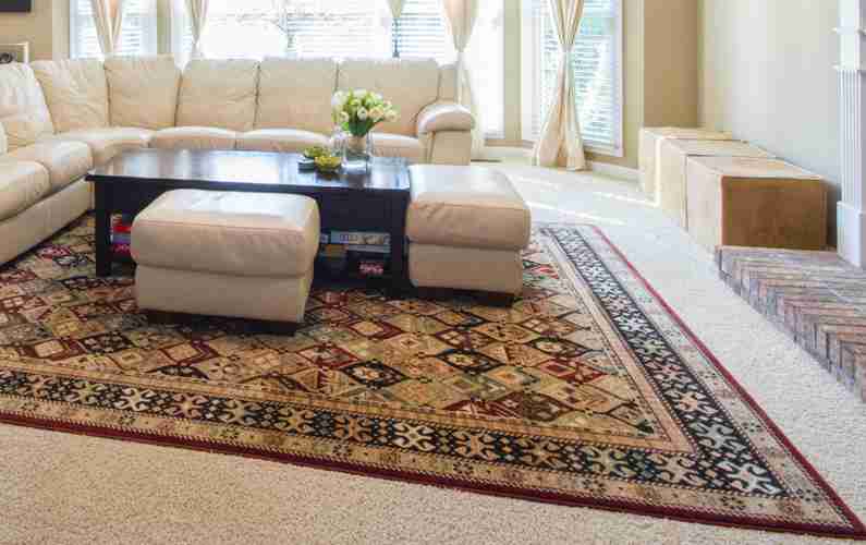 Area Rug In a Living Room